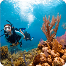 diver