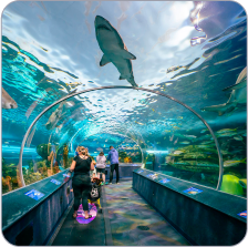Ripley's Aquarium