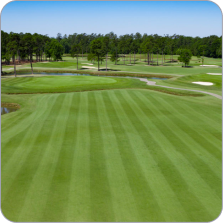World Tour Golf Links